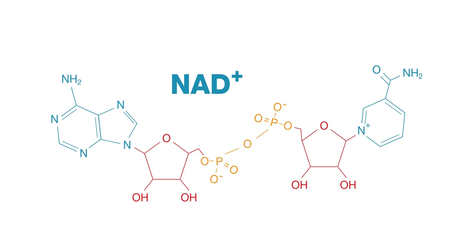 NAD