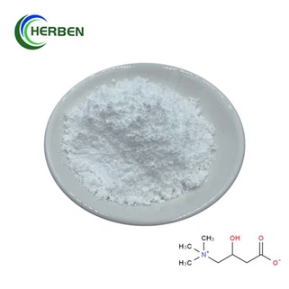 Lカルニチンパウダー